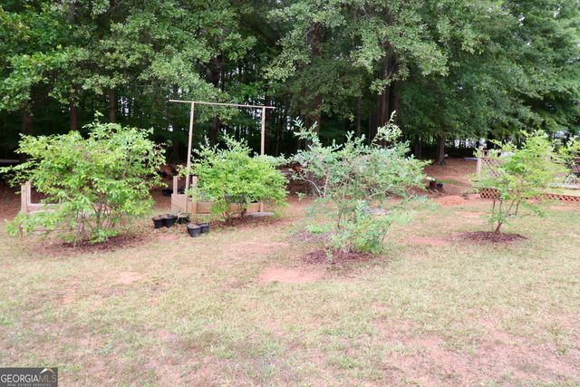 190 Roundtree Way, Williamson, GA 30292