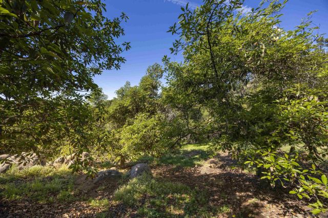 1820 Grove Road, El Cajon, CA 92020