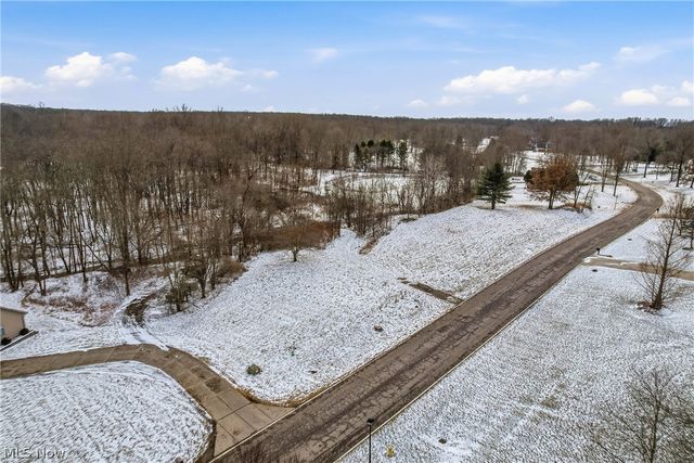 Brookhollow Drive, Warren, OH 44481