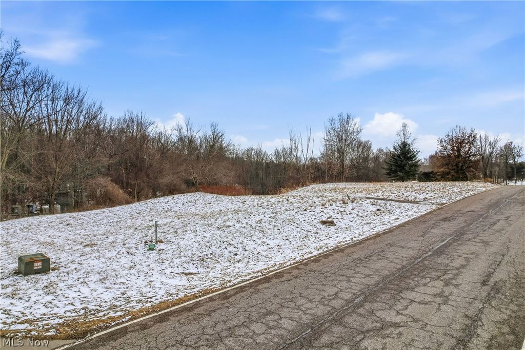 Brookhollow Drive, Warren, OH 44481