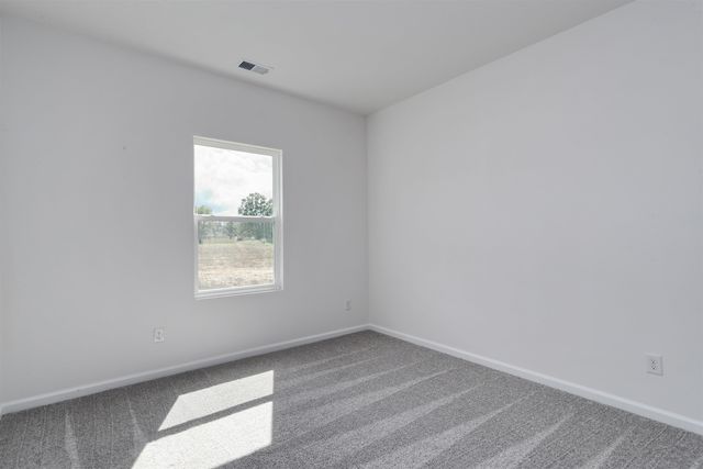 431 Atamasco Ct., Conway, SC 29526