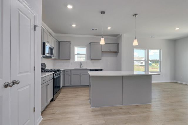 431 Atamasco Ct., Conway, SC 29526