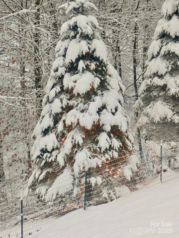 1284 River Breeze Drive 9, Creston, NC 28615