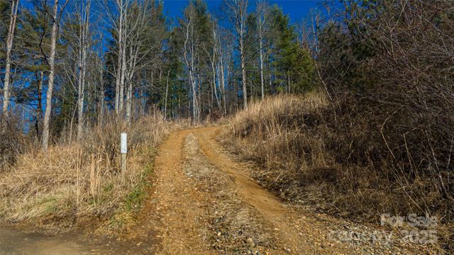 778 Smith Johnson Road, Green Mountain, NC 28740