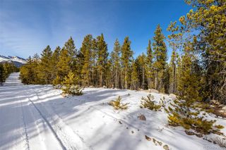 539 Sequoia Drive, Leadville, CO 80461