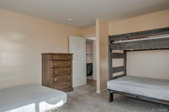 501 E 12th Street, Leadville, CO 80461