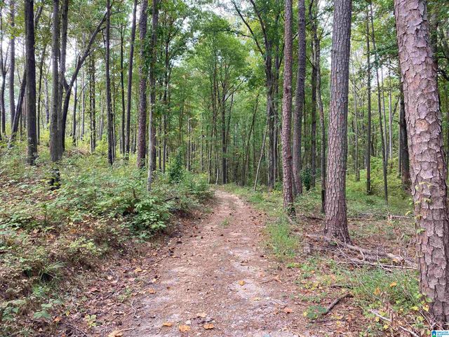 180 PEACH STREET, Sylacauga, AL 35150