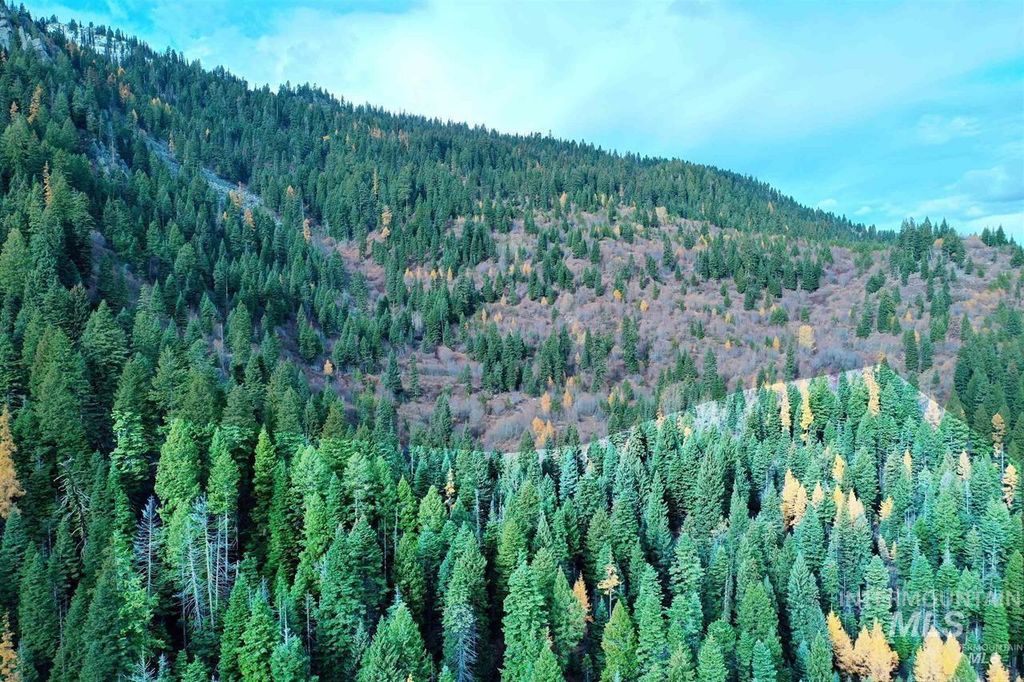 2437 Maverick, Donnelly, ID 83615 photo 10