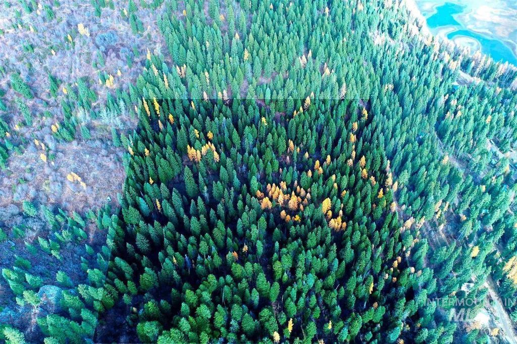 2437 Maverick, Donnelly, ID 83615 photo 13