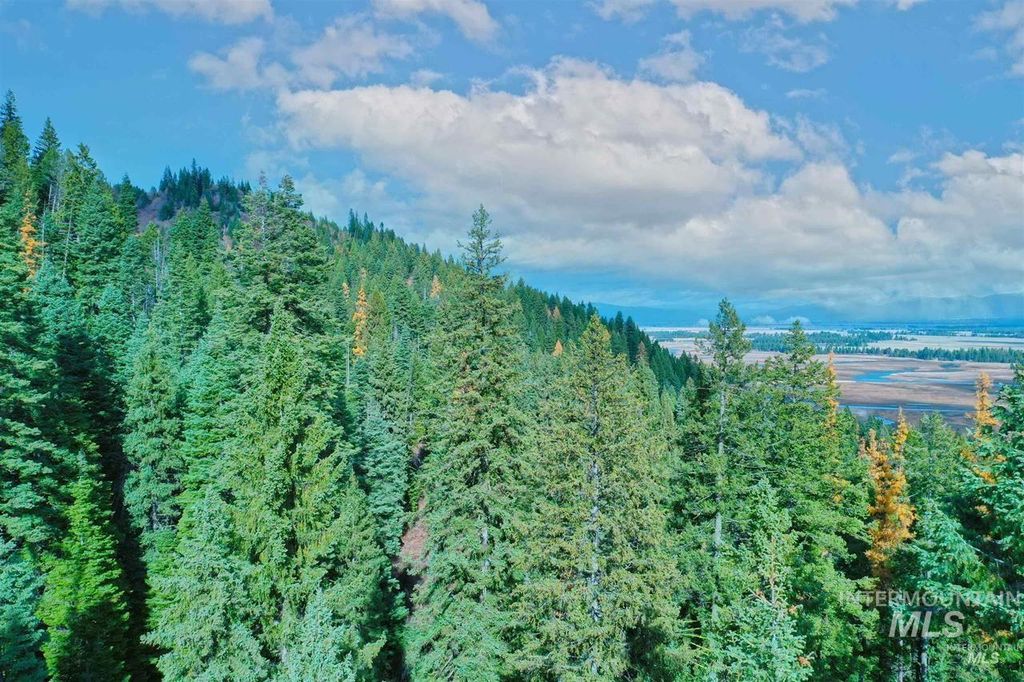 2437 Maverick, Donnelly, ID 83615 photo 15