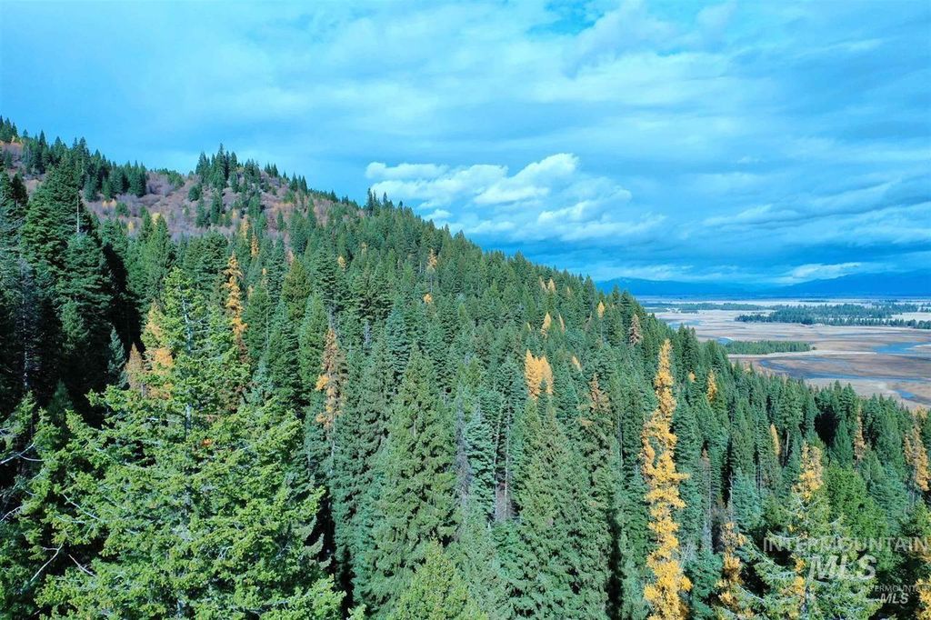 2437 Maverick, Donnelly, ID 83615 photo 16