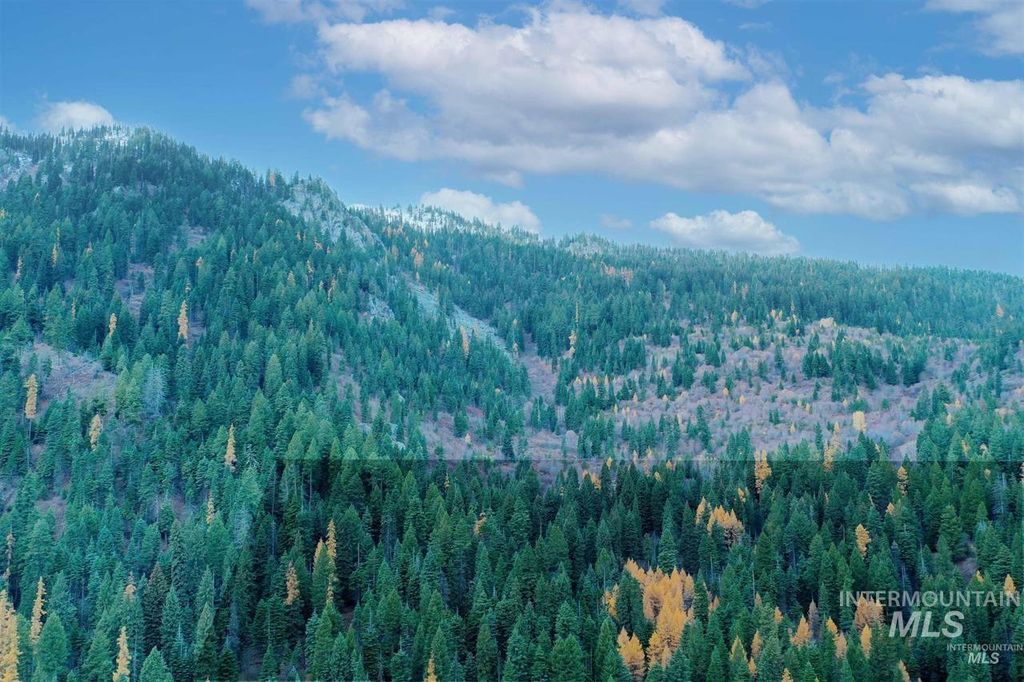 2437 Maverick, Donnelly, ID 83615 photo 3