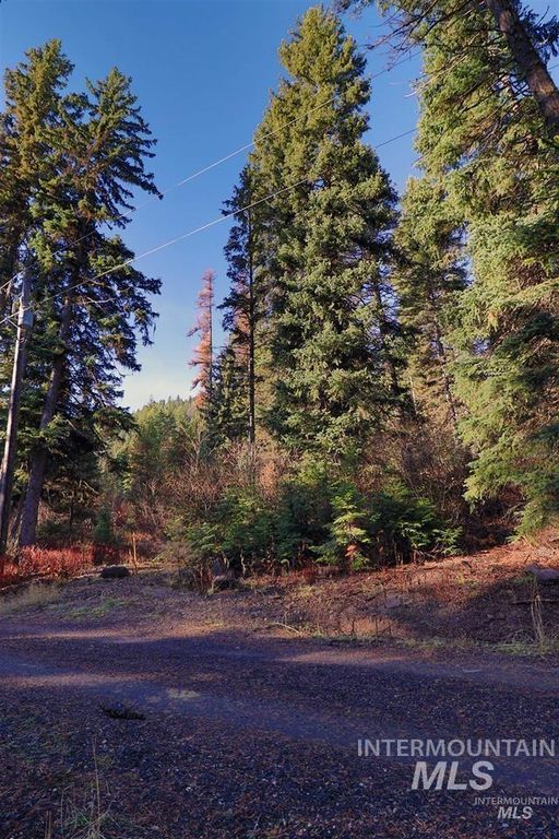 2437 Maverick, Donnelly, ID 83615 photo 34