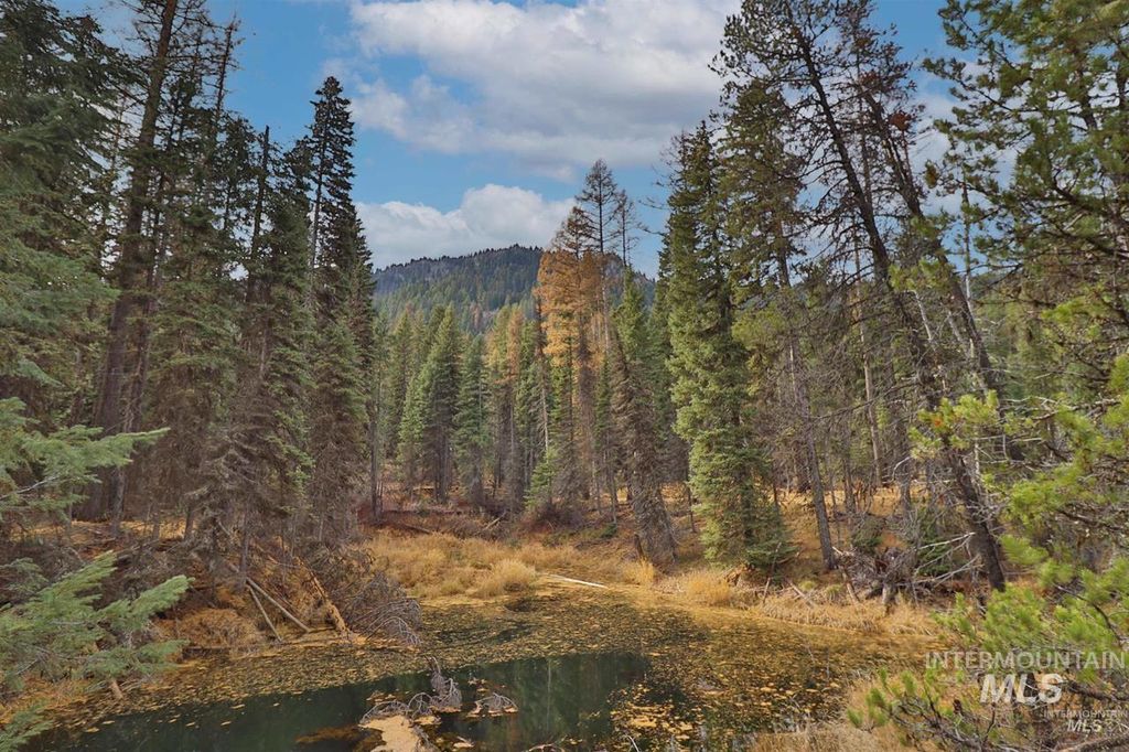 2437 Maverick, Donnelly, ID 83615 photo 39