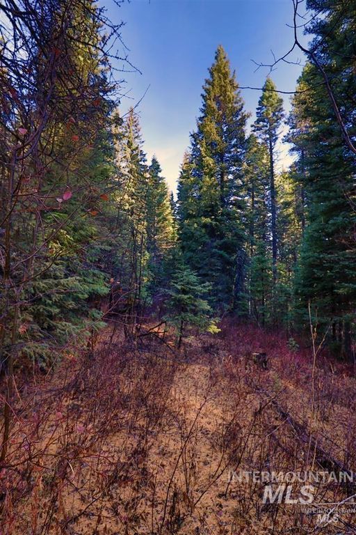 2437 Maverick, Donnelly, ID 83615 photo 41