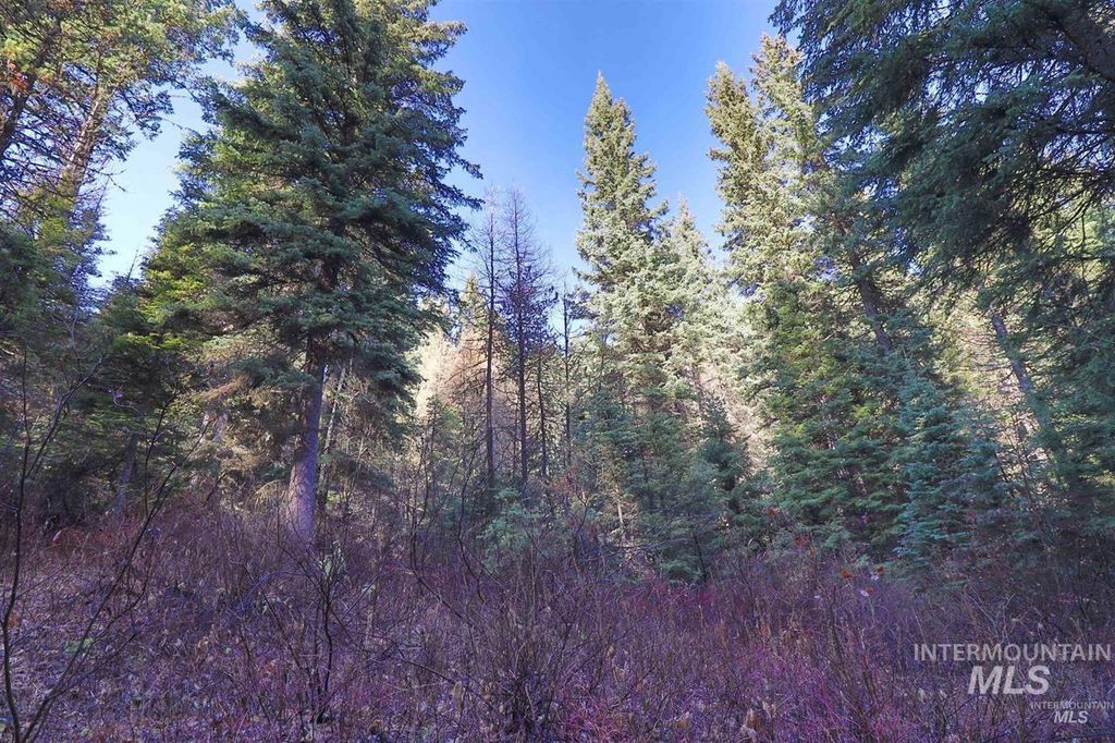 2437 Maverick, Donnelly, ID 83615 photo 42