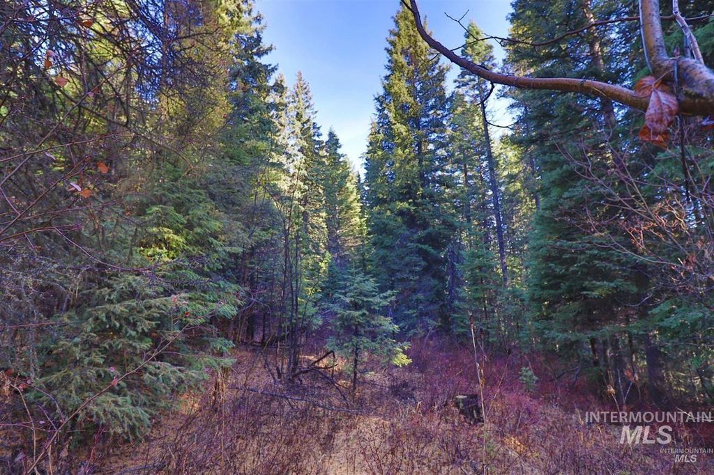 2437 Maverick, Donnelly, ID 83615 photo 43