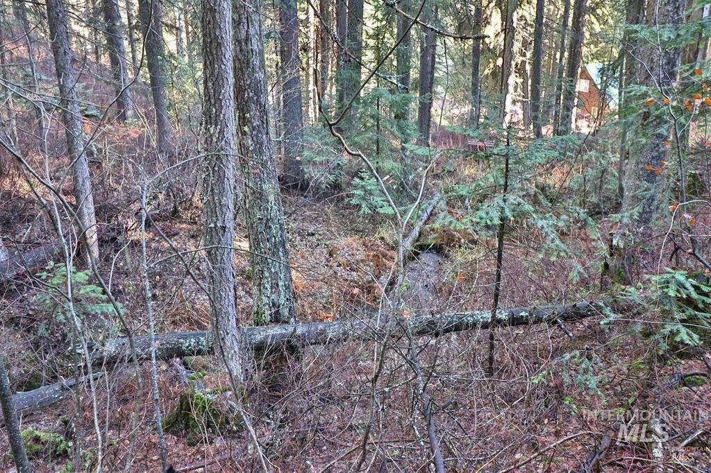 2437 Maverick, Donnelly, ID 83615 photo 44