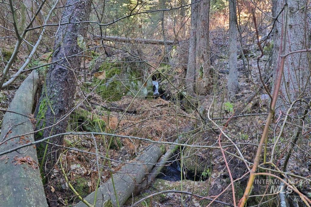 2437 Maverick, Donnelly, ID 83615 photo 45