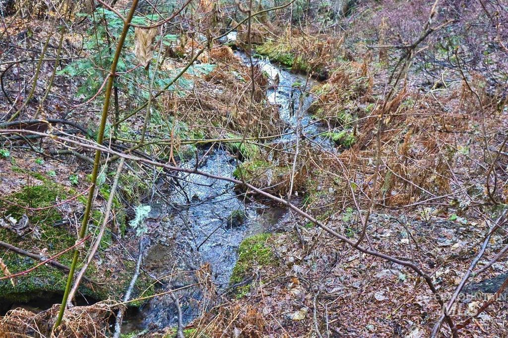 2437 Maverick, Donnelly, ID 83615 photo 46