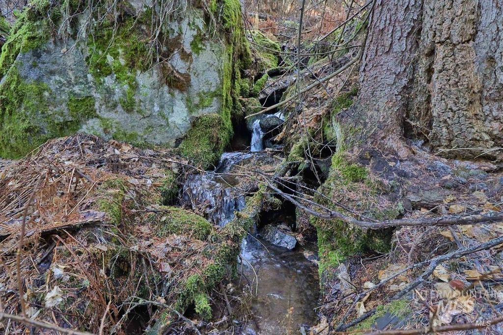 2437 Maverick, Donnelly, ID 83615 photo 48