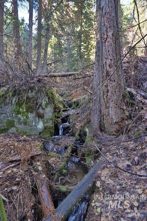 2437 Maverick, Donnelly, ID 83615 photo 49