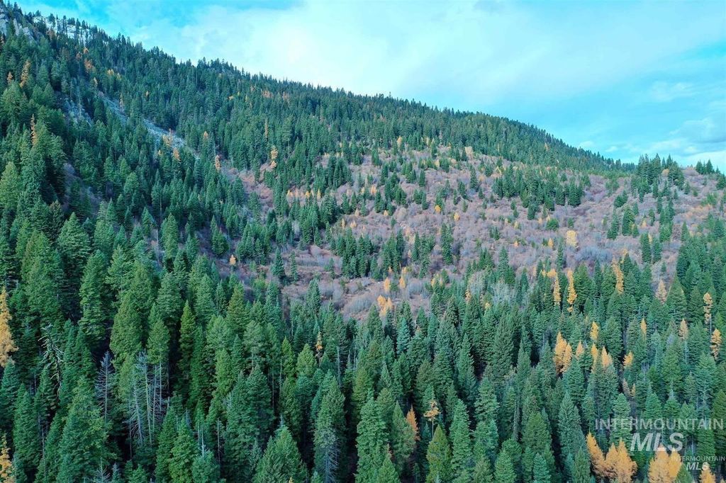 2437 Maverick, Donnelly, ID 83615 photo 9