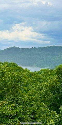 1038 Lakeside Dr, Smithville, TN 37166