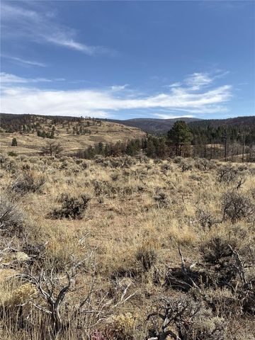 138 Macnaughton Drive, Fort Garland, CO 81133