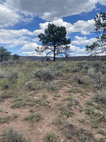 138 Macnaughton Drive, Fort Garland, CO 81133