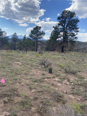 138 Macnaughton Drive, Fort Garland, CO 81133