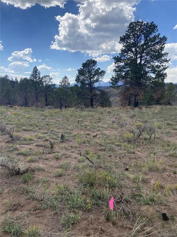 138 Macnaughton Drive, Fort Garland, CO 81133