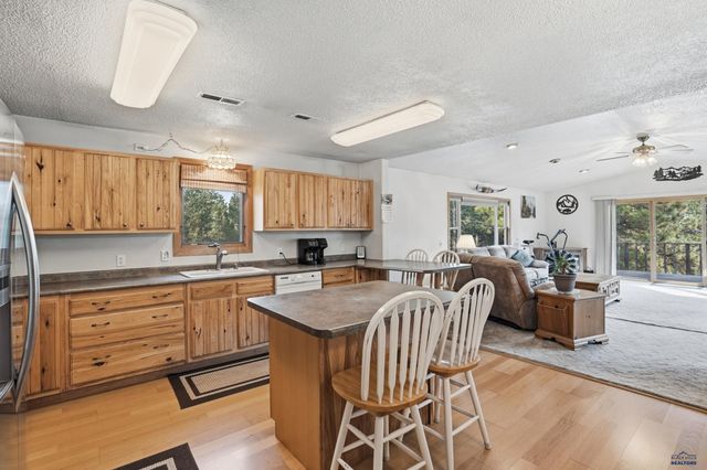 13056 LINCOLN TARKEN LN, Piedmont, SD 57702