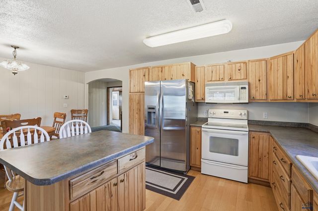 13056 LINCOLN TARKEN LN, Piedmont, SD 57702