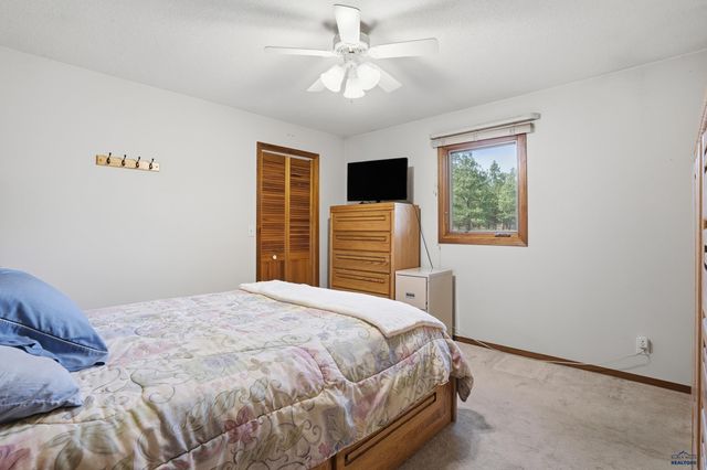 13056 LINCOLN TARKEN LN, Piedmont, SD 57702