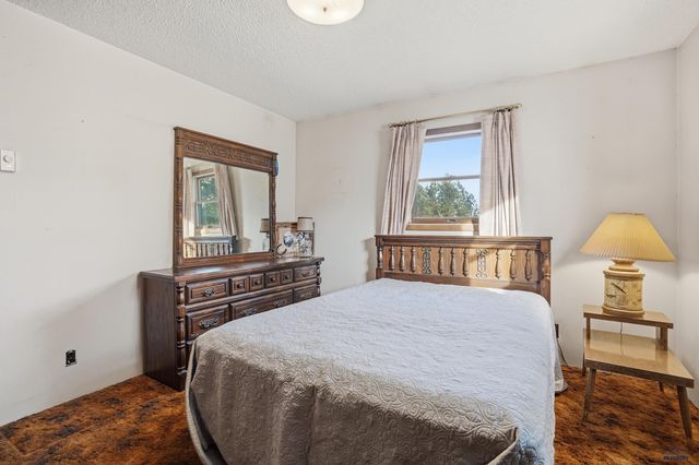 13056 LINCOLN TARKEN LN, Piedmont, SD 57702