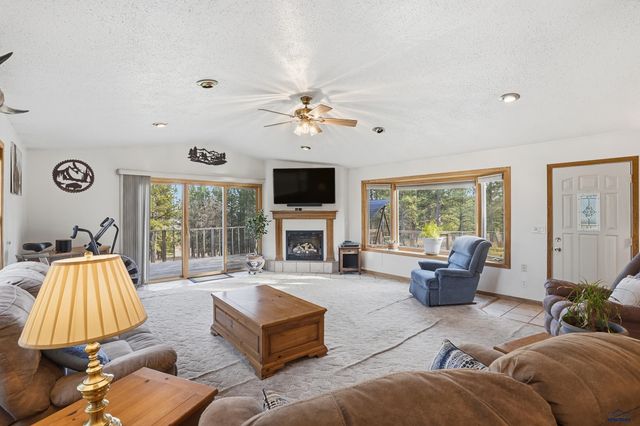 13056 LINCOLN TARKEN LN, Piedmont, SD 57702