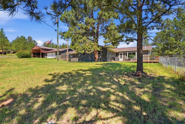 13056 LINCOLN TARKEN LN, Piedmont, SD 57702