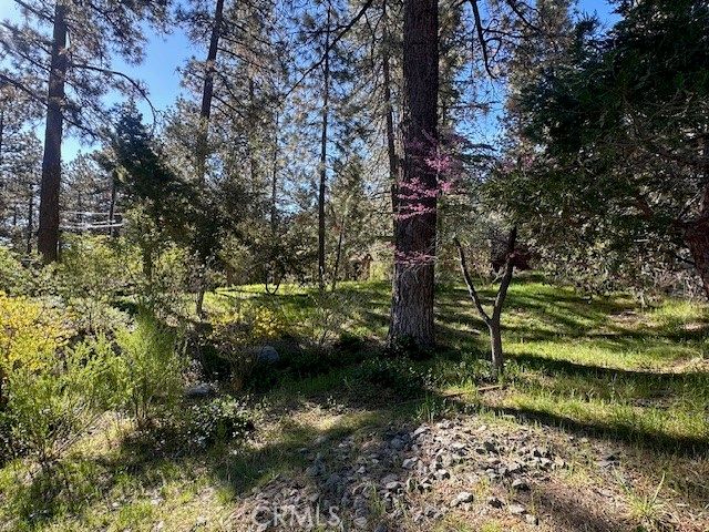 1725 Twin Lakes, Wrightwood, CA 92397