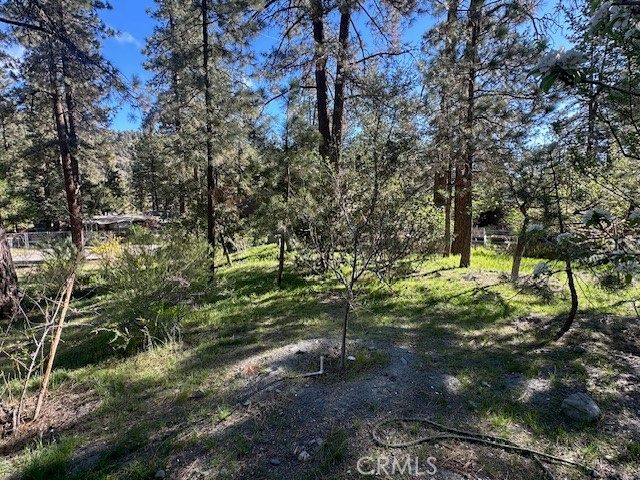 1725 Twin Lakes, Wrightwood, CA 92397