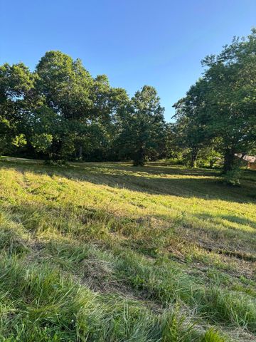 160 E Norwood Street, Norwood, MO 65717