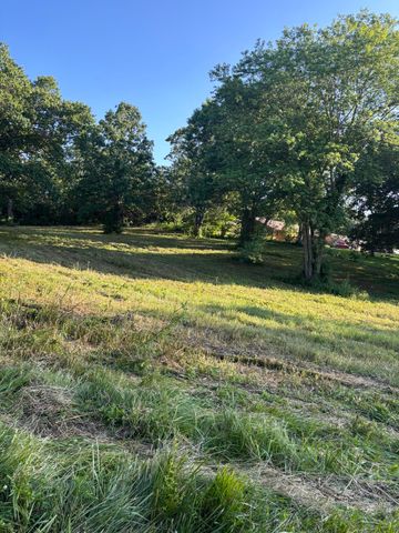 160 E Norwood Street, Norwood, MO 65717