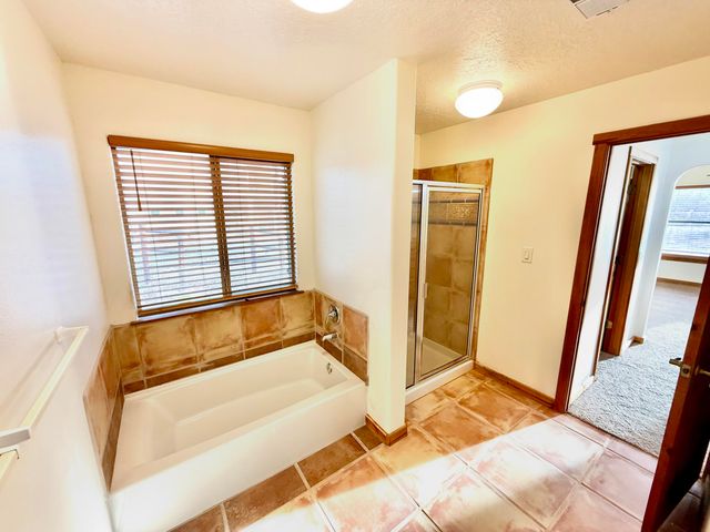 537 Dandelion Road, Corrales, NM 87048