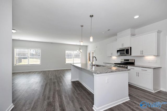 238 Portrait Street, Meridianville, AL 35759