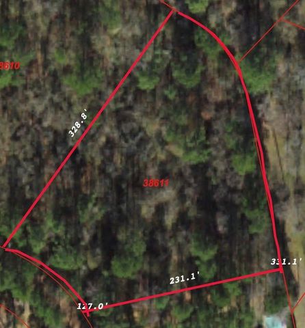 TBD Wood Forest Lane, Huntsville, TX 77340