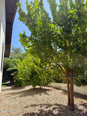 8617 E Larkspur Drive, Scottsdale, AZ 85260