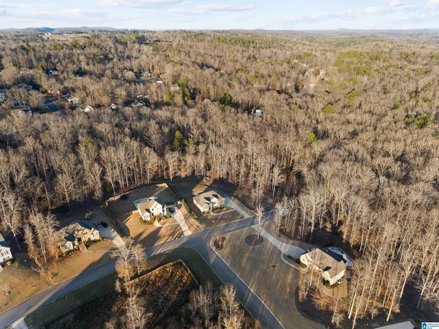 6274 DEER RIDGE TRAIL, Trussville, AL 35173