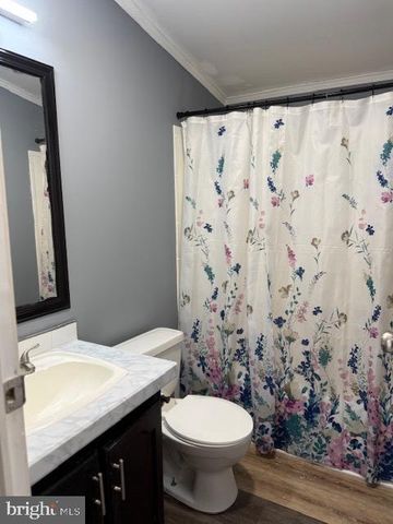 141 DAFFODIL DRIVE # 141, Magnolia, DE 19962