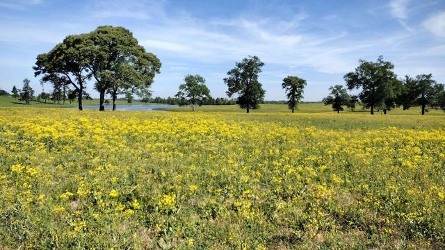 315 Clearlake Lane, Crockett, TX 75835