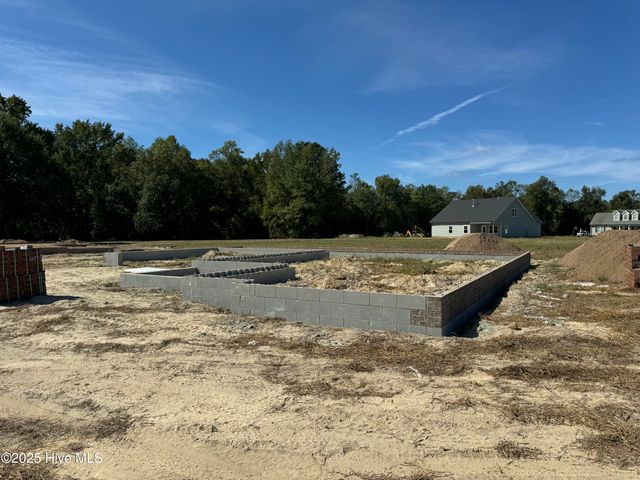 3684 Drew Farmer Road, La Grange, NC 28551